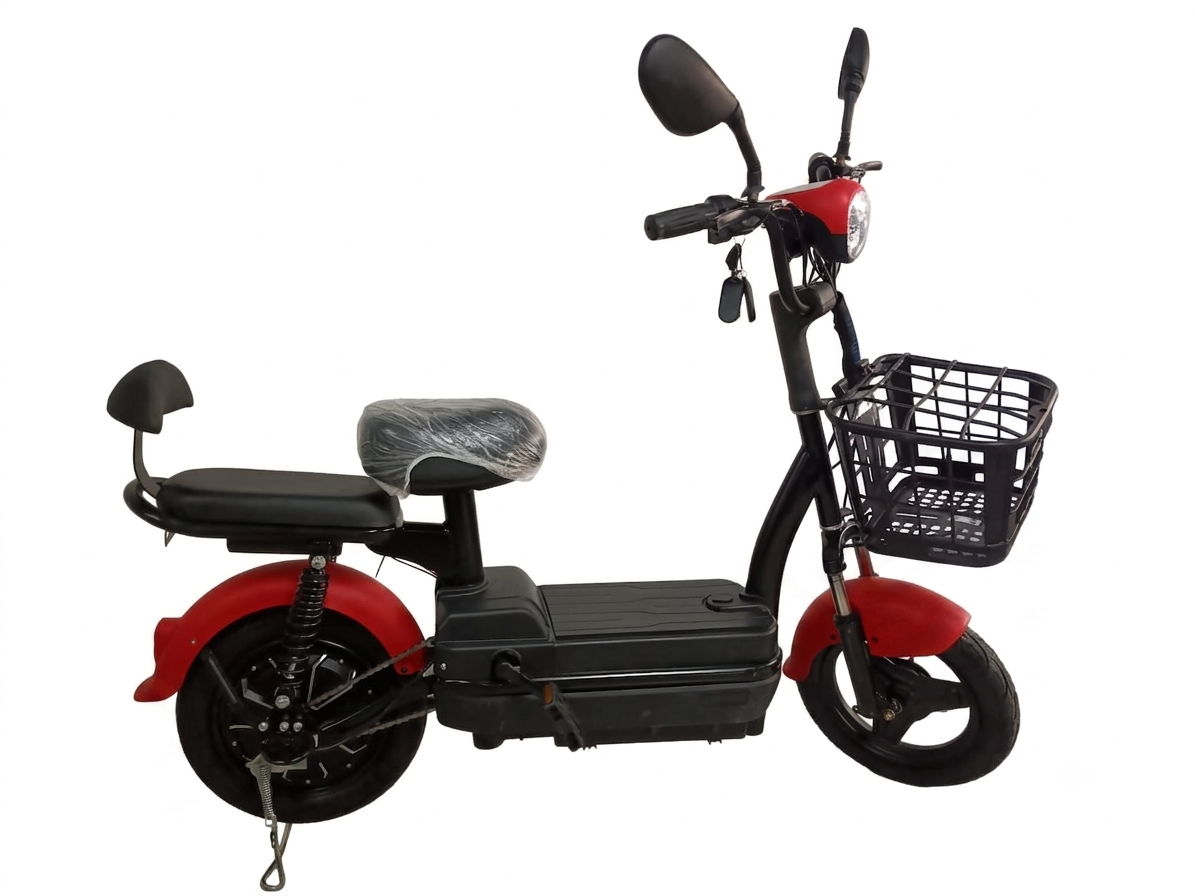 Bicicleta Electrica WL-1