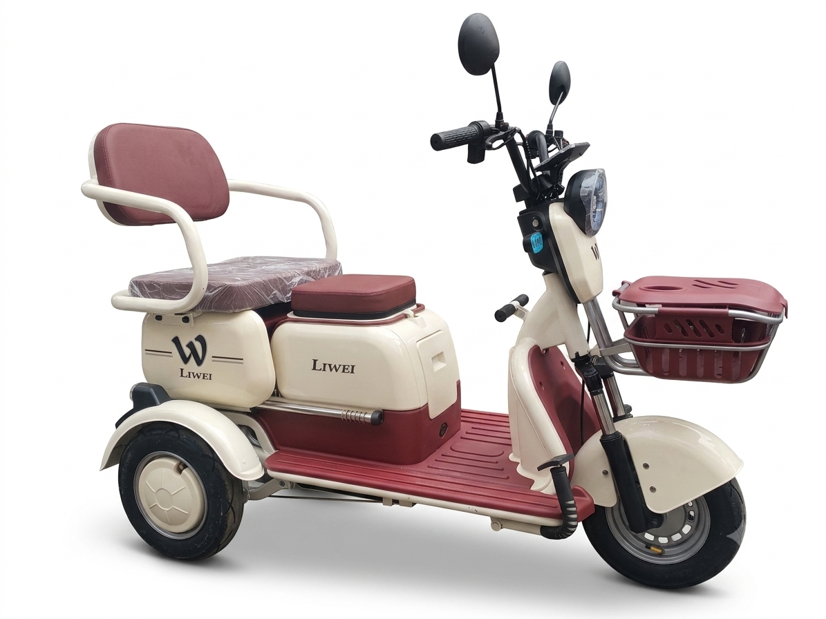 Triciclo Paseo